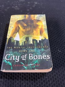 City of Bones