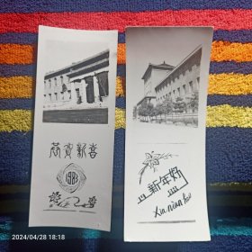 老照片 吉林财贸学院  1983年  2张