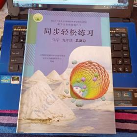 同步轻松练习 化学  九年级 总复习（练习题 测试卷 参考答案）