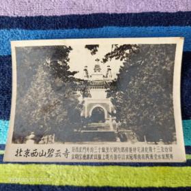 老照片 1961北京西山碧云寺（尺寸：5.5乘以8 ）