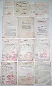 老档案：《1970年上山下乡回乡手写原始老档案、文件》约75张.。