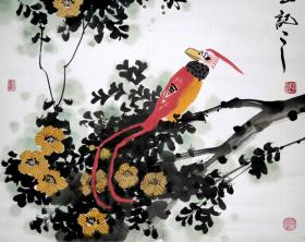 河南省书画院院长◆李运江《2014年繪●花鸟画》锦綾原裱镜心◆当代辽宁省籍手绘名人字画◆
