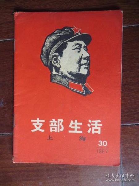 支部生活 上海1967年第30期