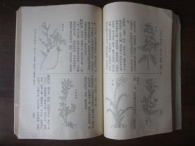 植物名实图考 下册