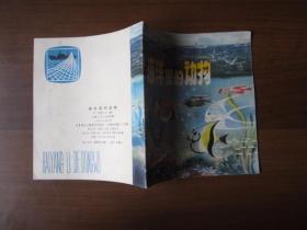 彩色连环画：海洋里的动物（1975年第1版第1次印刷）