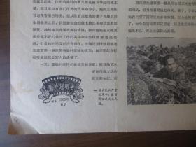 1965年电影说明书：南海的早晨