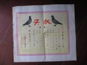 1991年上海市信鸽协会奖状（归巢）