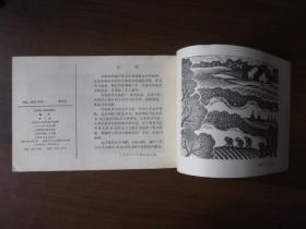 全日制小学试用课本：美术 第十册（1983年上海教育出版社样书）