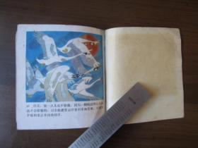 彩色连环画：丑小鸭（1981年第一版一次印刷）
