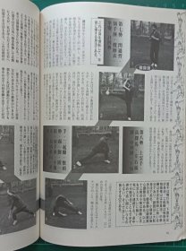 杂志《武艺》1994年6月1日增刊 JUNE No.3 日本语 日文（三皇炮锤 镖局 源流谱拳谱资料 练法及要领 少林武术 武当山 内家拳 外家拳 武术 散打 拳法 劈挂 八极拳 散打 南拳 通背拳 螳螂拳 戳脚 八卦掌 形意拳 拳击 跆拳道 咏春拳 陈氏杨氏太极拳 拳术武功武术研究会协会）