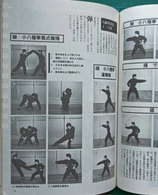 杂志《武艺》1994年6月1日增刊 JUNE No.3 日本语 日文（三皇炮锤 镖局 源流谱拳谱资料 练法及要领 少林武术 武当山 内家拳 外家拳 武术 散打 拳法 劈挂 八极拳 散打 南拳 通背拳 螳螂拳 戳脚 八卦掌 形意拳 拳击 跆拳道 咏春拳 陈氏杨氏太极拳 拳术武功武术研究会协会）