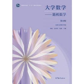 大学数学——随机数学 第四版