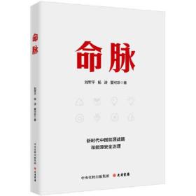 命脉：新时代中国能源战略和能源安全治理