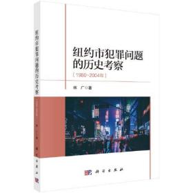 纽约市犯罪问题的历史考察（1980～2004年）