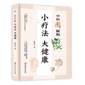 中医图解版：小疗法 大健康