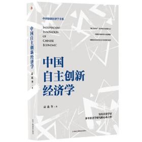 中国自主创新经济学（精装）