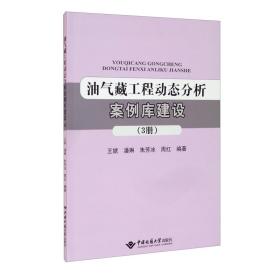 油气藏工程动态分析案例库建设（3册）