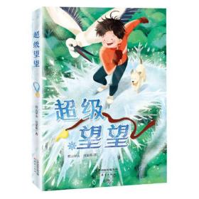 中国当代儿童中篇小说：超级望望