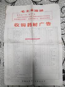 1972年收购药材广告