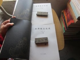 世界性文化史（上下）