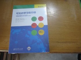 可见的学习在行动 未开封