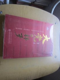 大党的样子
