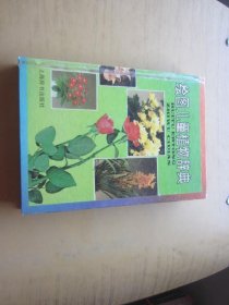 绘图儿童植物辞典