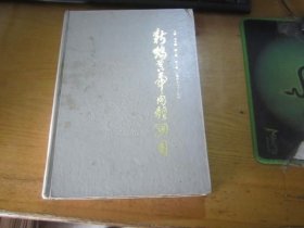 新编黄帝内经纲目