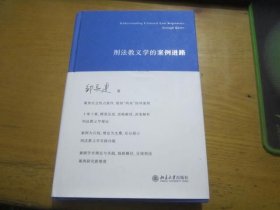 刑法教义学的案例进路