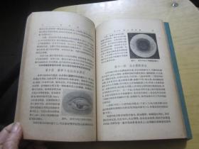 妇产科学 皮肤病及性病学 眼科学 耳鼻喉科学 外科学及野战外科学 5本合售 （中华人民共和国卫生部卫生教材编审委员会第二次审定试用医士学校教本）1955年一版一印