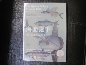 海面之下 海洋生物形态图鉴