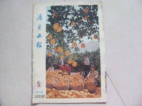 广东画报1978-5