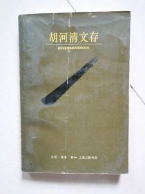 胡河清文存