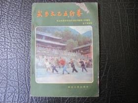 武当太乙五行拳