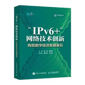 “IPv6+”网络技术创新：构筑数字经济发展基石
