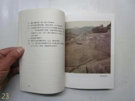 梅州石刻—将军崖岩与孔望山摩崖造像