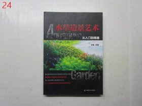 水草造景艺术：从入门到精通