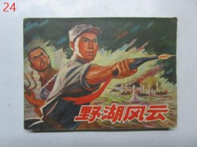 连环画：野湖风云