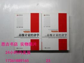 高级计量经济学（上下全二册）/北京大学光华管理学院教材  Y