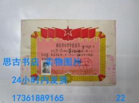 毕业证书：南京市罗廊巷小学（1981年）  局部有水迹