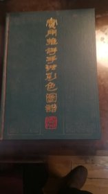 实用推拿手法彩色图谱