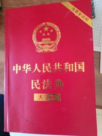 中华人民共和国民法典（大字版32开大字条旨红皮烫金）2020年6月新版