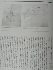 珍藏绝版 人间国宝系列 25  重要无形文化财 保持者 日本漆艺家高野松山 矶井如真 ， 大开本 仅40页，彩图29幅，还有很多黑白小图揭示制作过程