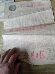 《杭州日报》1967年1月16日，北京第一机床厂给毛主席的致敬信。无产阶级革命派联合起来。