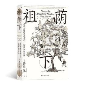 后浪- 智慧宫丛书024·祖荫下：传统中国的亲属关系、人格和社会流动