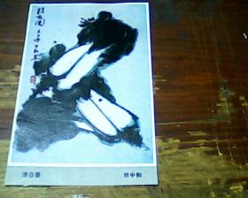 剪報(bào)畫頁 清白圖