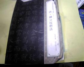 中国经典碑帖临习教程：唐柳公权楷法