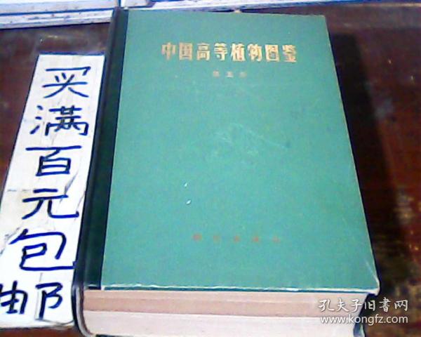 中国高等植物图鉴第五册