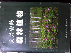 大兴安岭森林植物  包邮