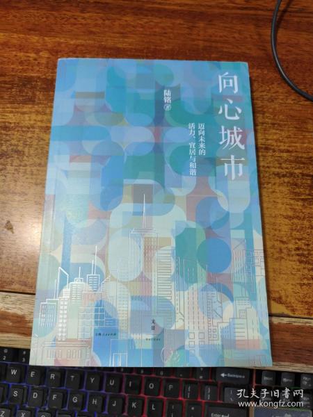 向心城市：迈向未来的活力、宜居与和谐【作者签赠本】